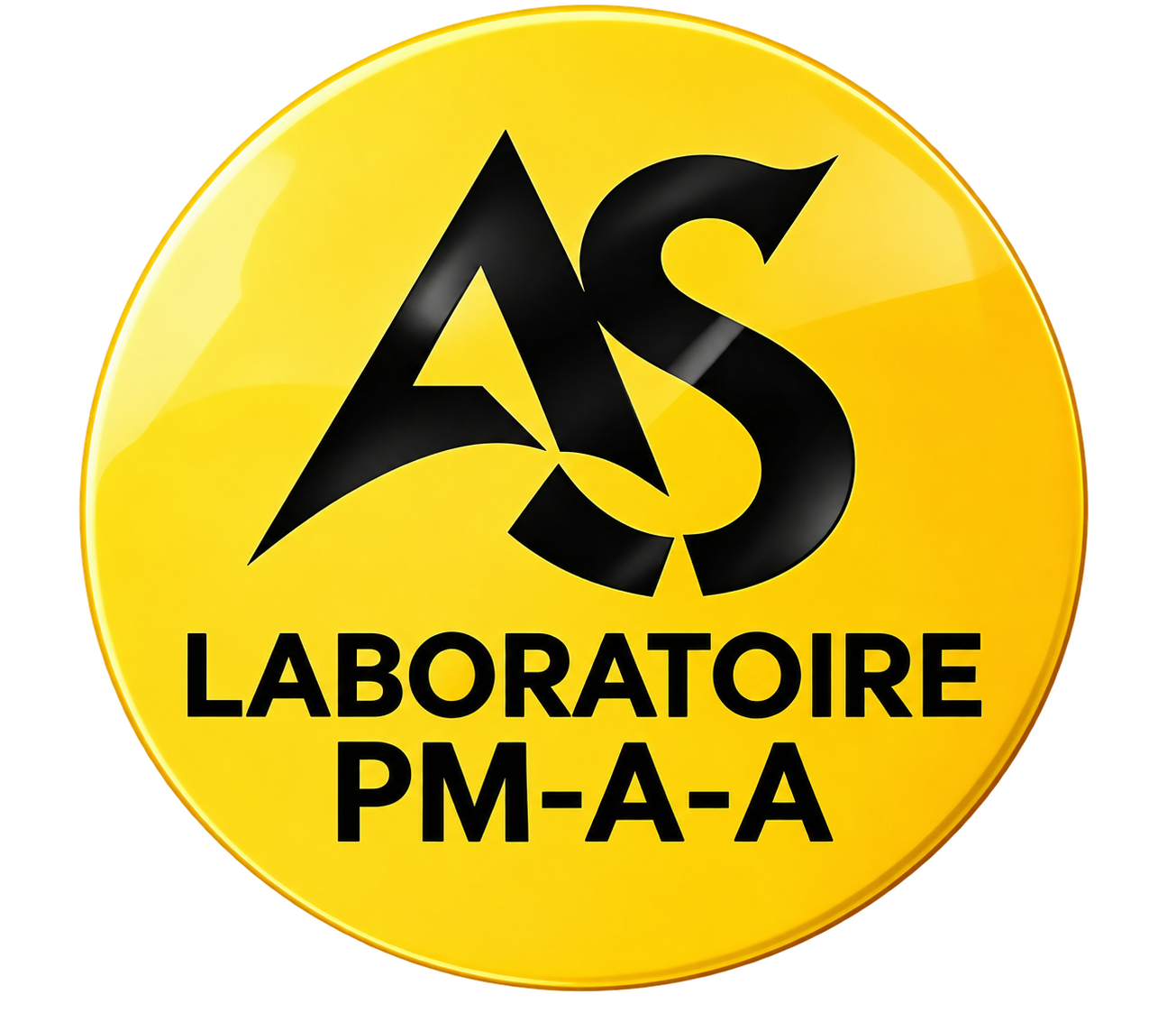 Logo Laboratoire PM-A-A